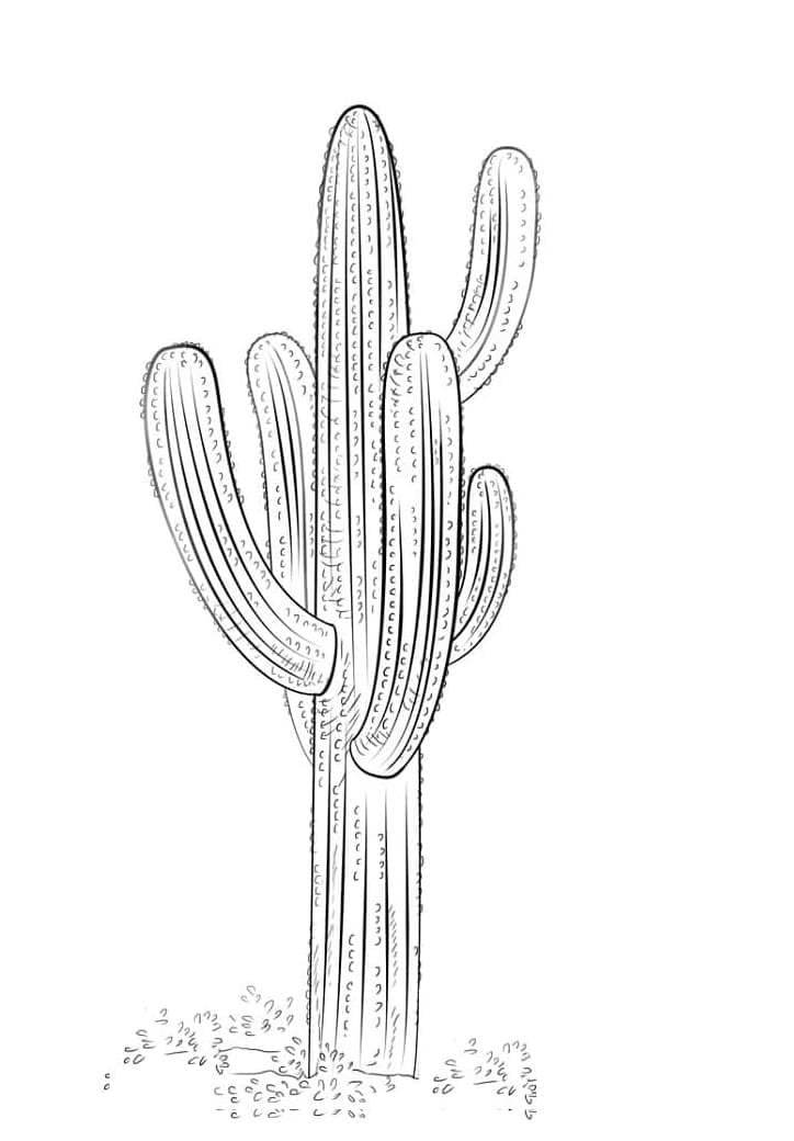 Print Perfect Cactus Coloring Page