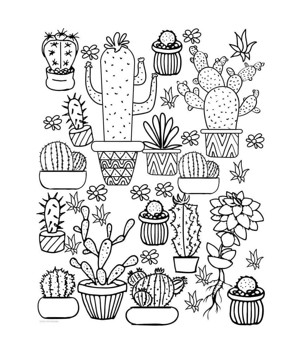 Print Potted Cactus Garden Coloring Page