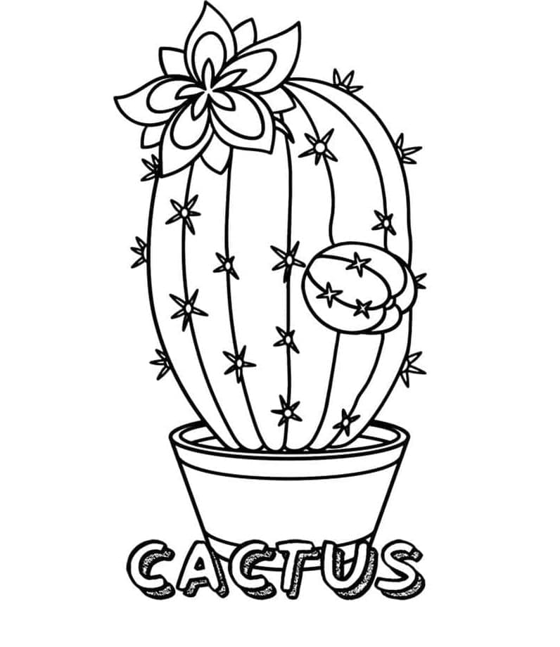 Print Potted Cactus Image Coloring Page