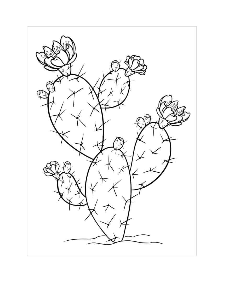 Print Prickly Pear Cactus Coloring Page