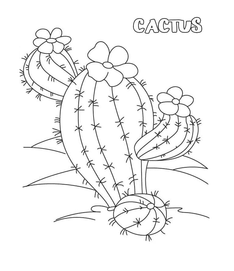 Print Regular Cactus Coloring Page