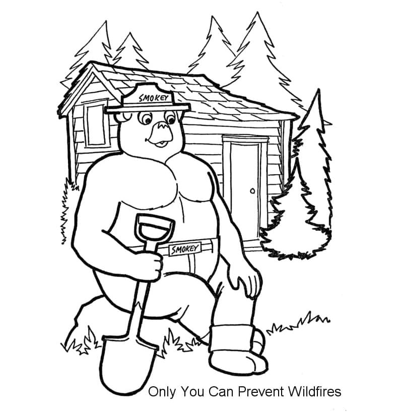 Print Smokey Bear Image Coloring Page