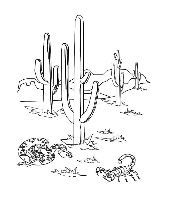 Print Snake and Scorpion with Cactus Coloring Page