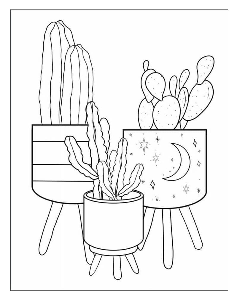 Print Three Cactus Pot Beautiful Coloring Page