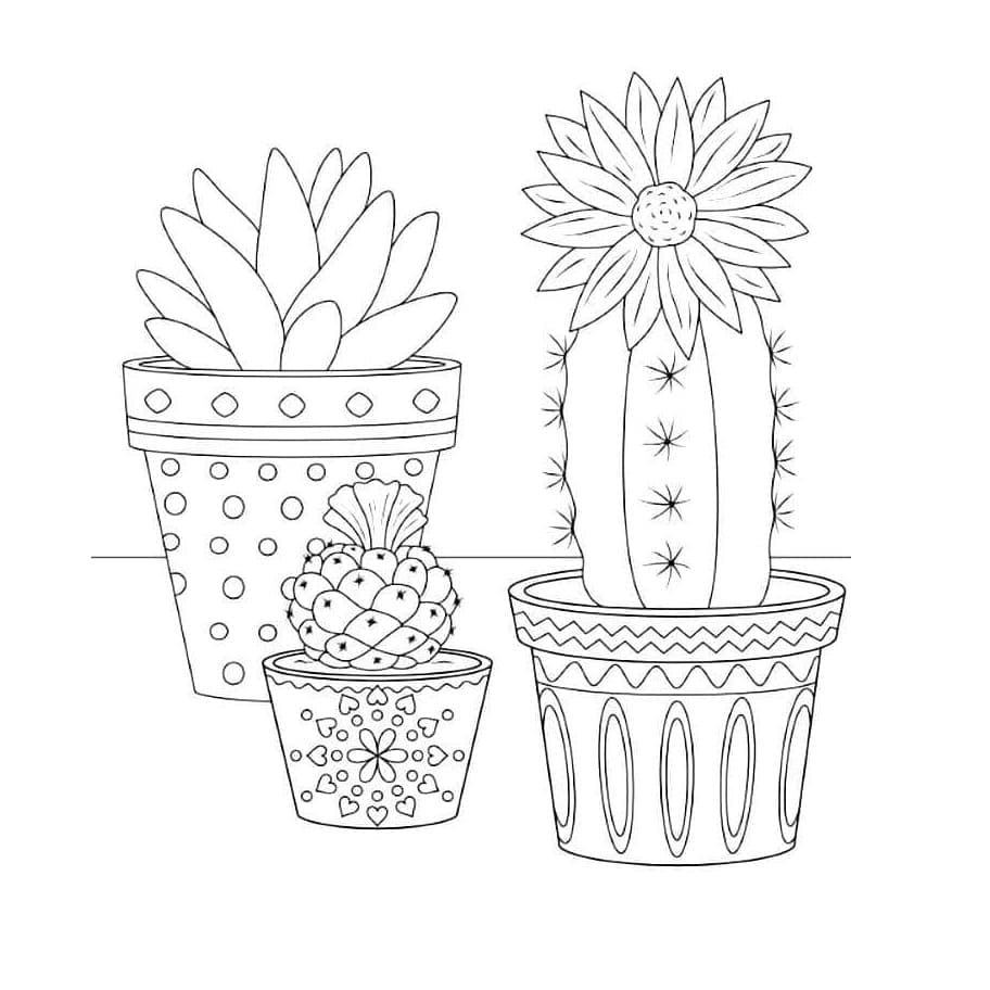 Print Three Potted Cactus Coloring Page