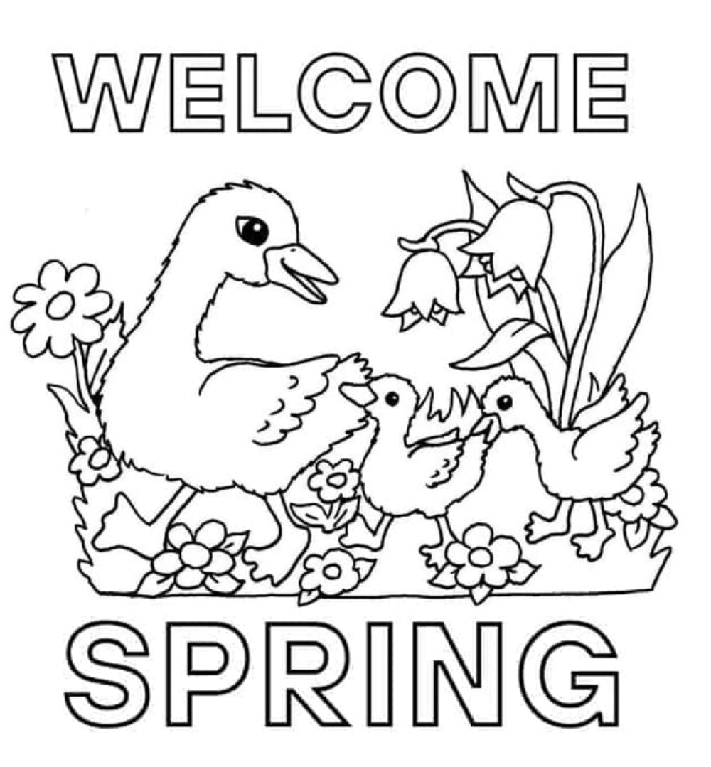 Print Welcome Spring with Ducks Coloring Page