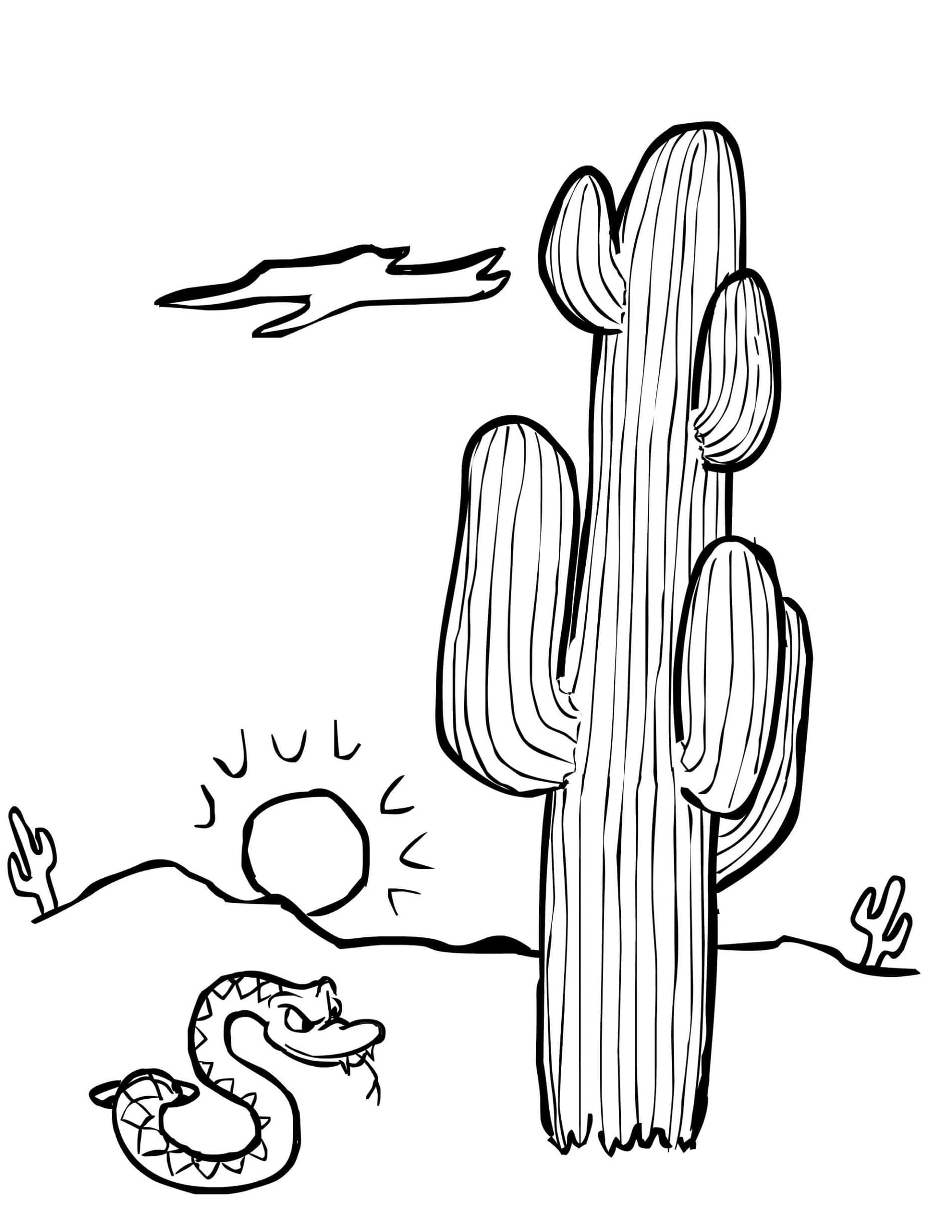 Snake with Cactus Printable Coloring Page