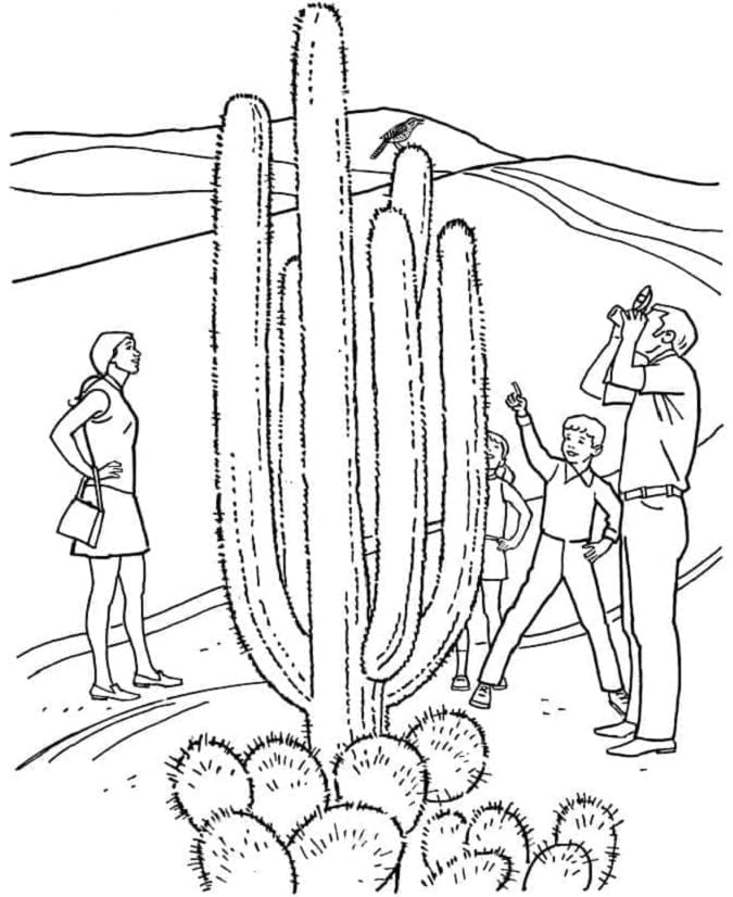 Tall Cactus Printable Coloring Page