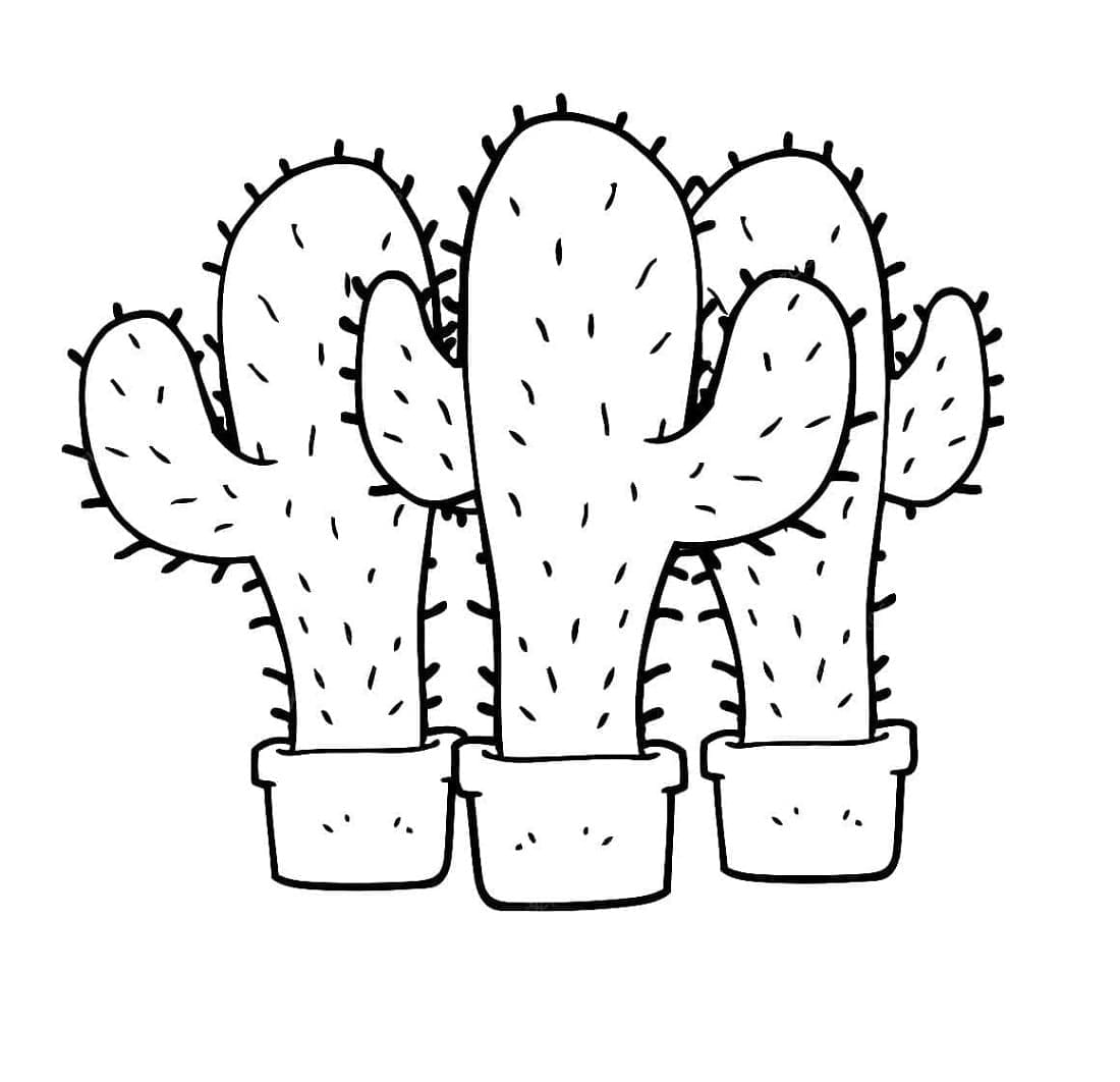 Three Cactus Printable Coloring Page