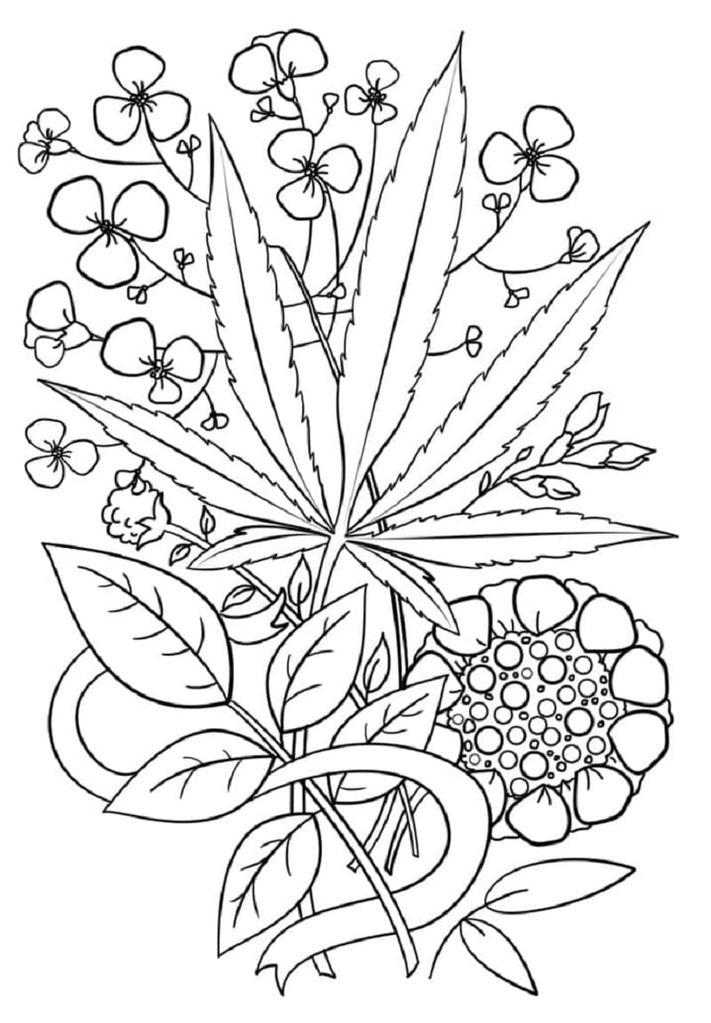 Weed Coloring Pages