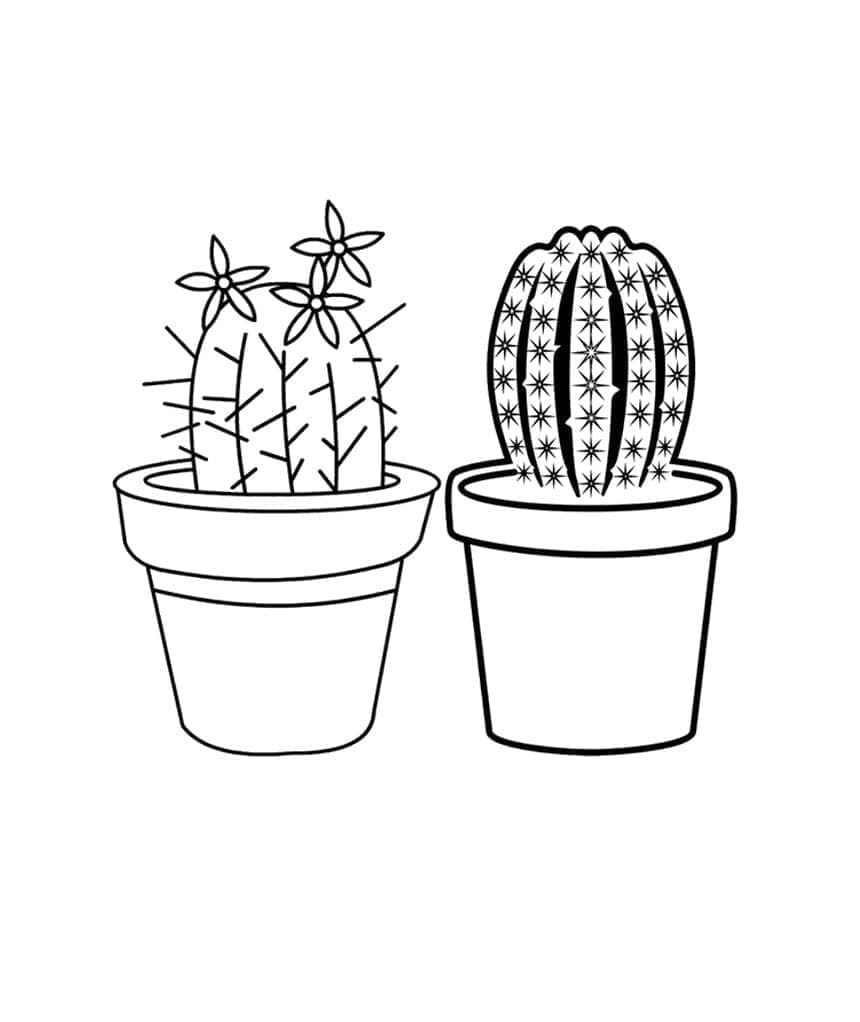 Cactus Coloring Pages