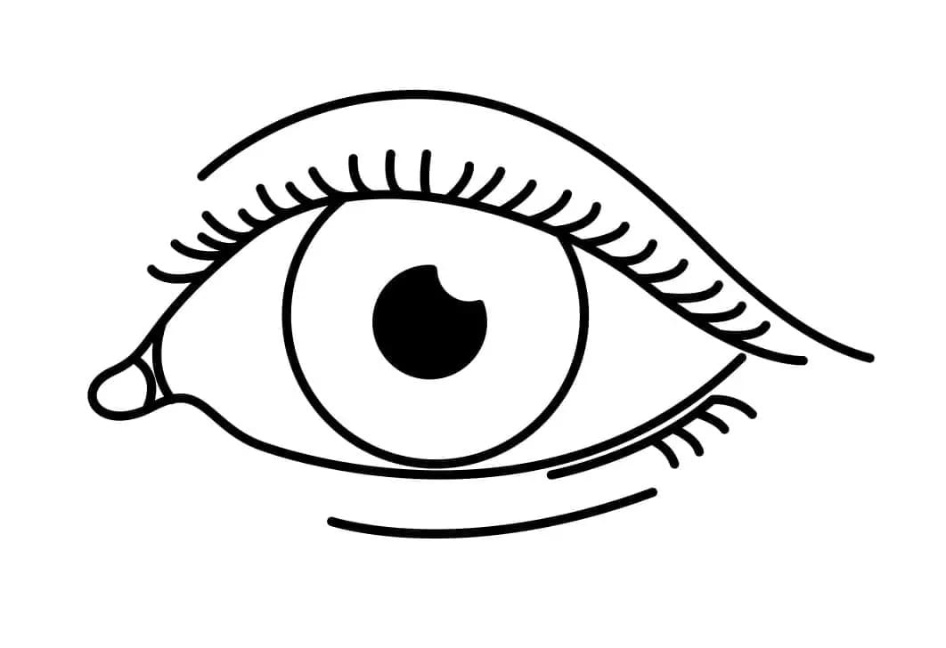 Woman Eye Printable Coloring Page