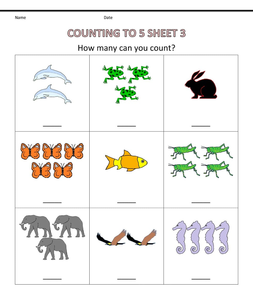 Counting Worksheet Photo Download