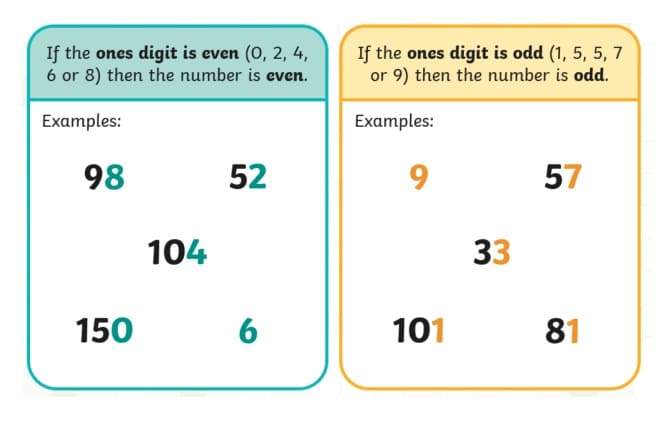 Odd & Even Numbers Worksheet For Free