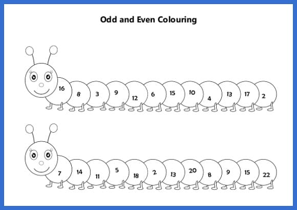 Odd & Even Numbers Worksheet Free Download