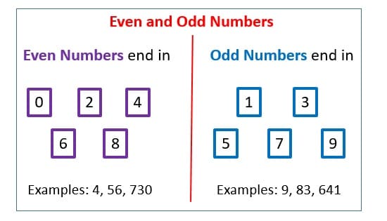 Odd & Even Numbers Worksheets