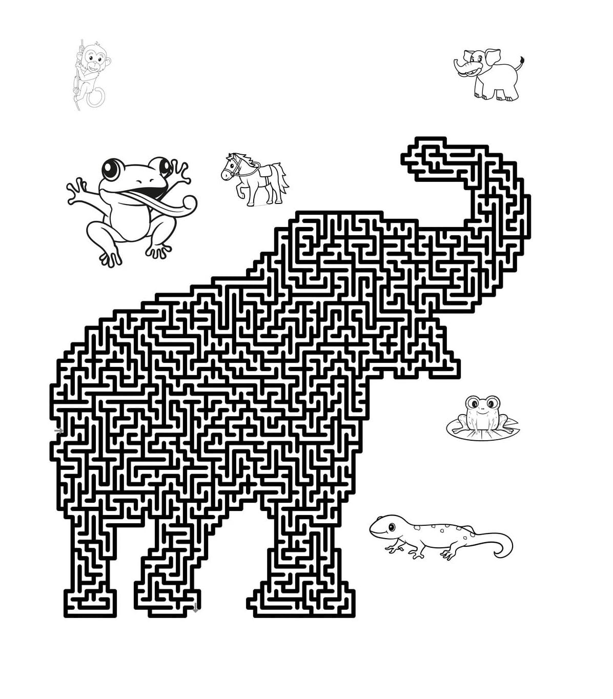 Animal Maze Basic