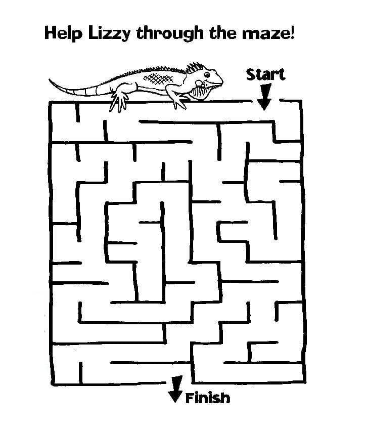 Animal Maze For Adult