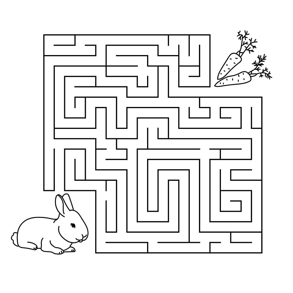 Animal Maze Free Pictures