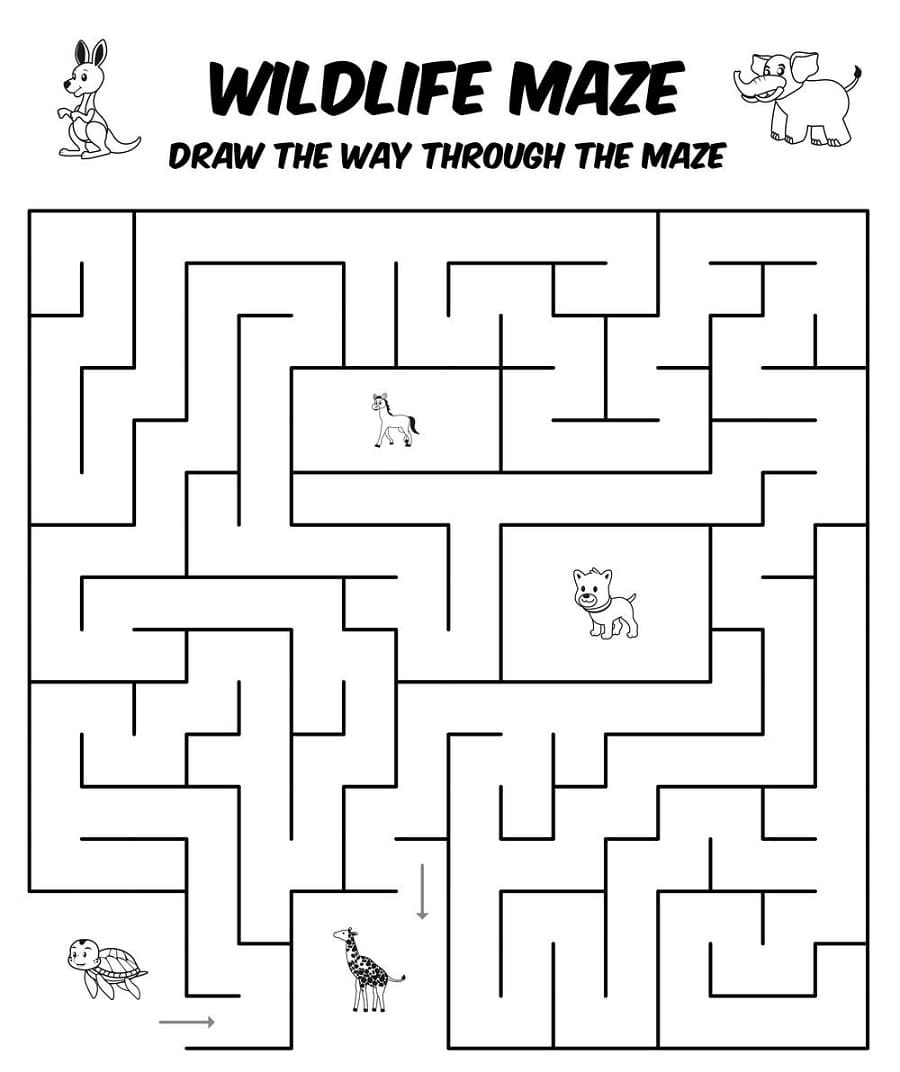 Animal Maze Images