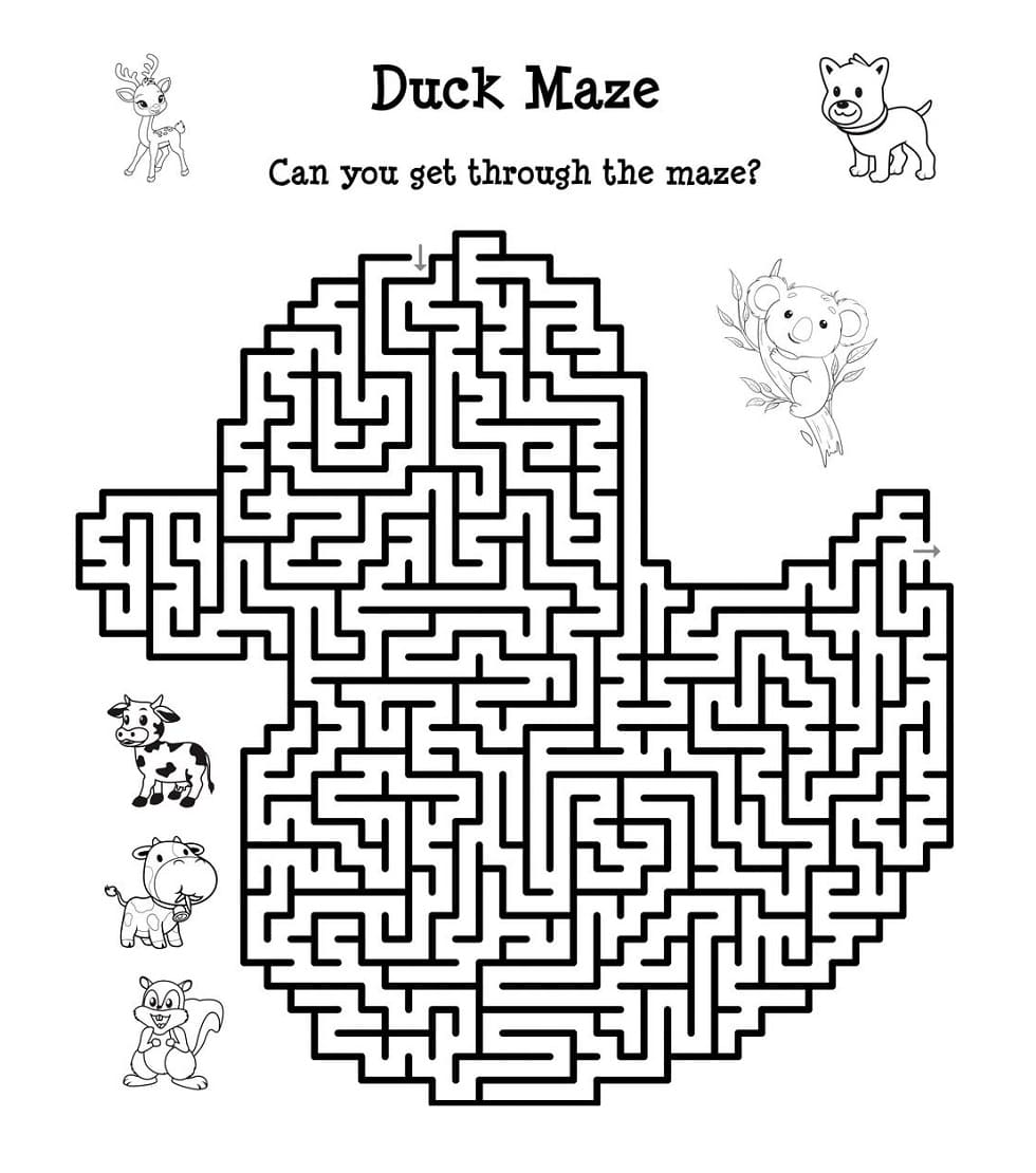 Animal Maze Picture