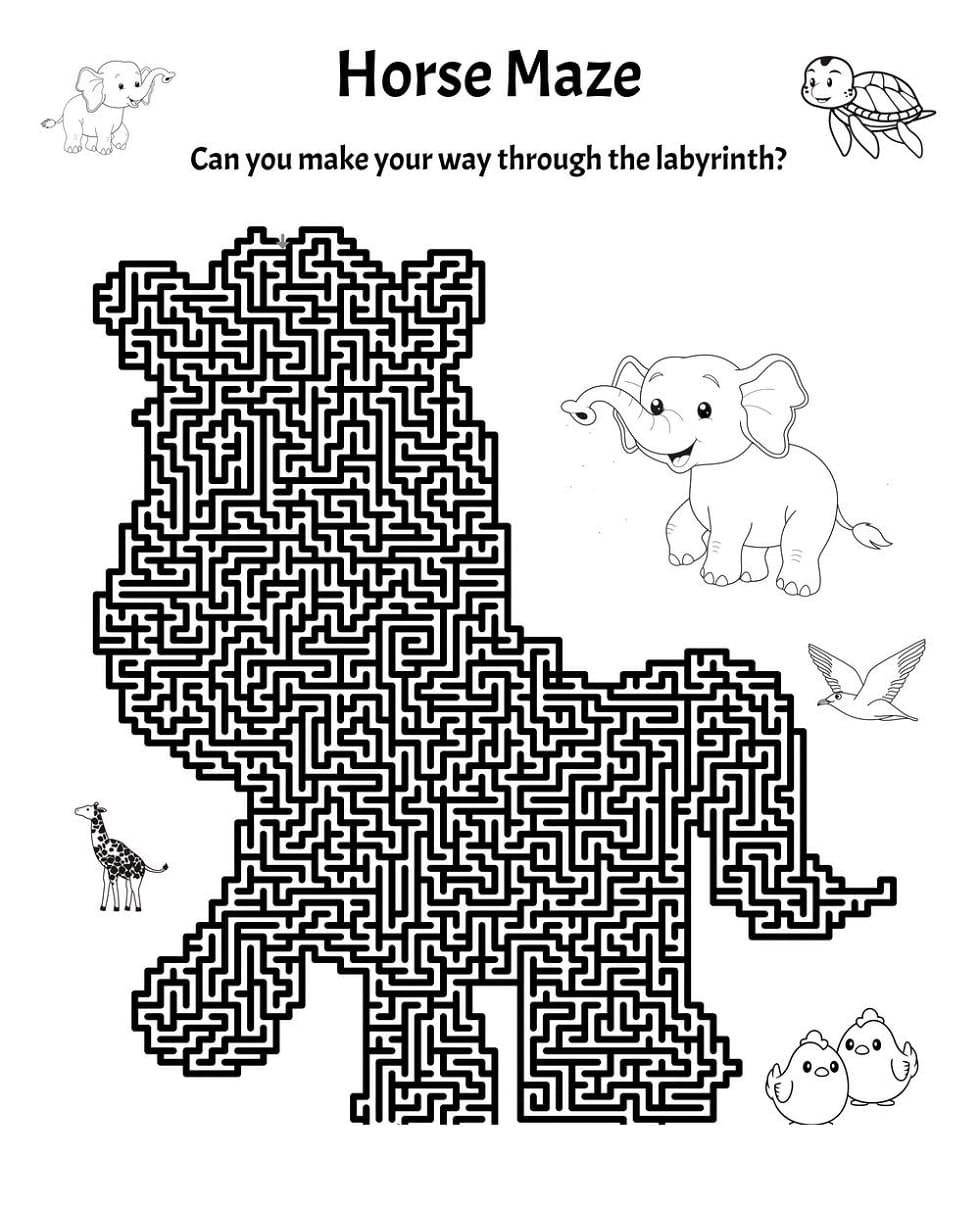 Animal Maze Pictures