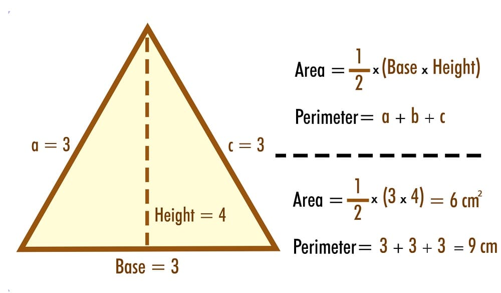 Area of a Triangle For Adult