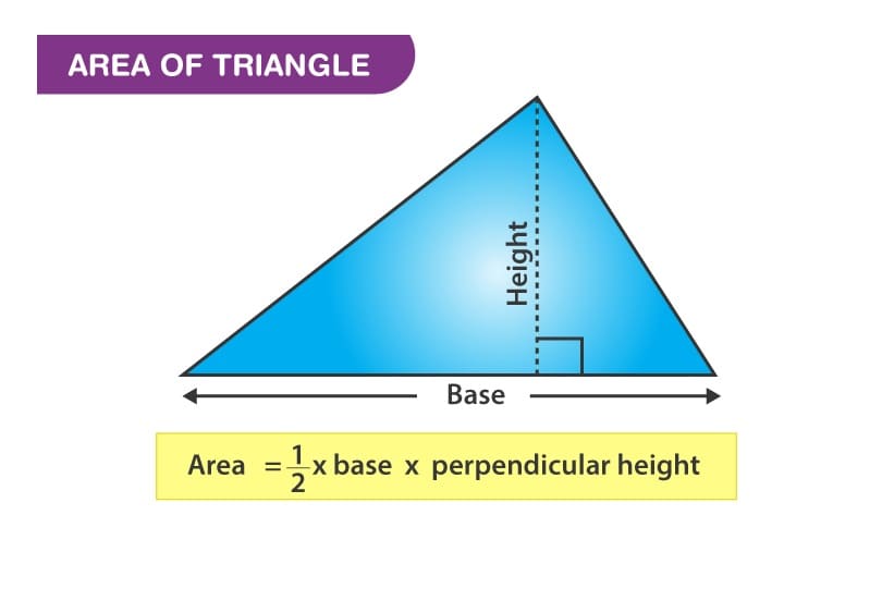 Area of a Triangle For Girl