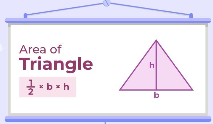 Area of a Triangle For Kid