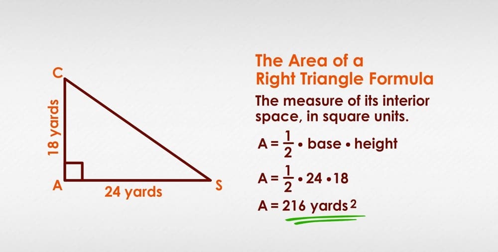 Area of a Triangle Free Photo