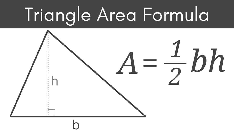 Area of a Triangle Free Pictures