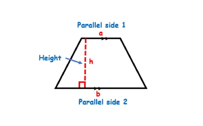 Basic Area of a Trapezoid