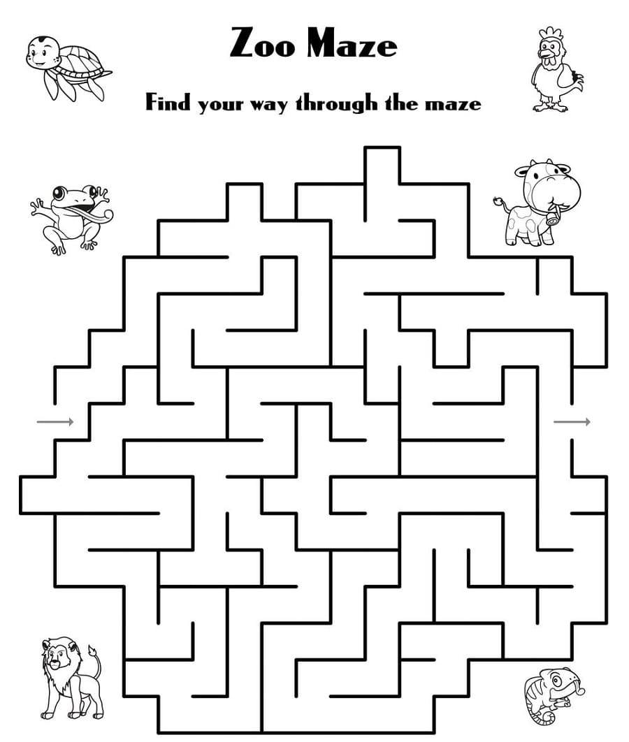 Animal Maze