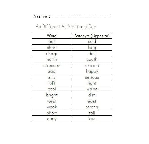 Fun Synonyms and Antonyms Worksheet