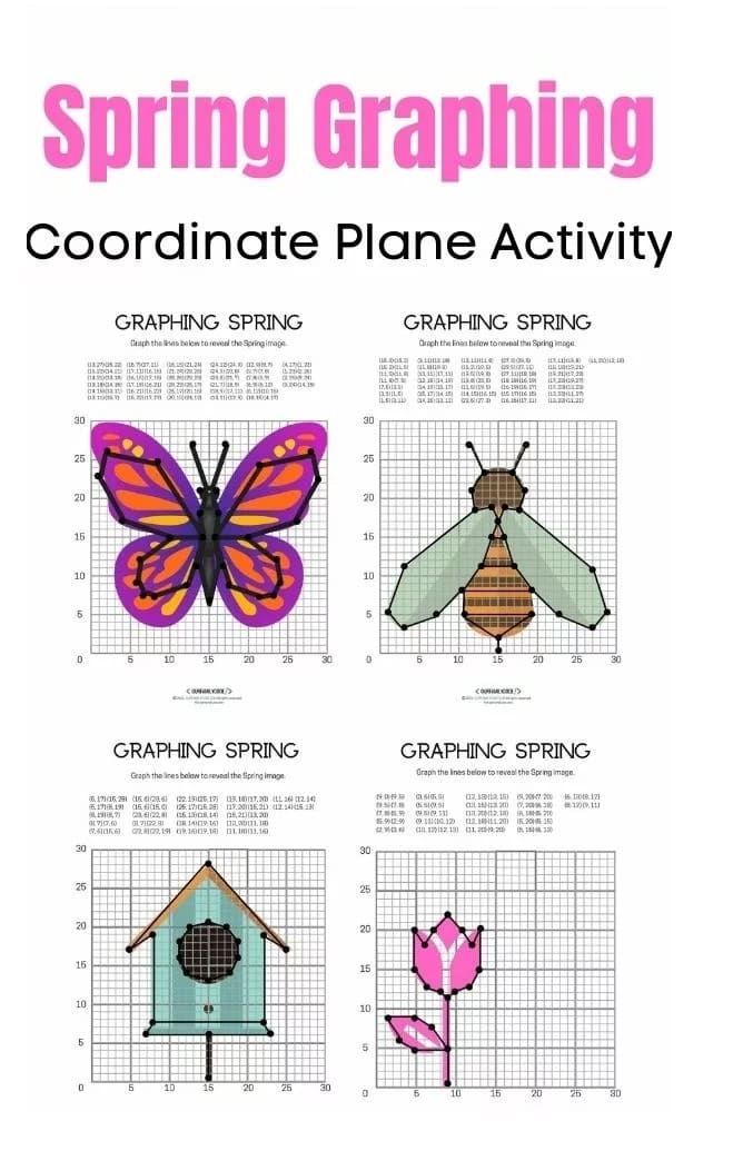 Graphing Worksheet Free Pictures