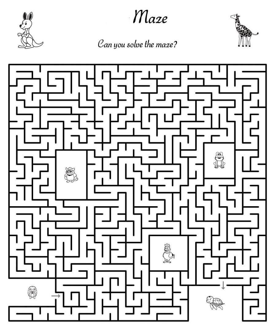 Normal Animal Maze