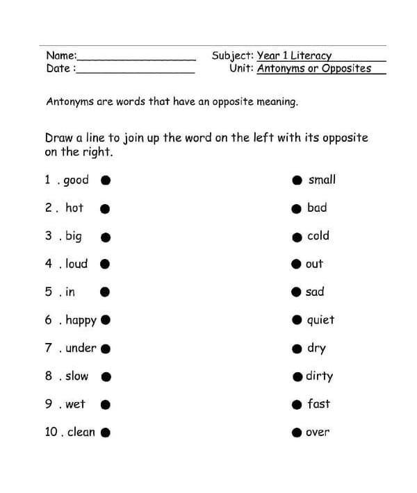 Synonyms and Antonyms Worksheet For Fun