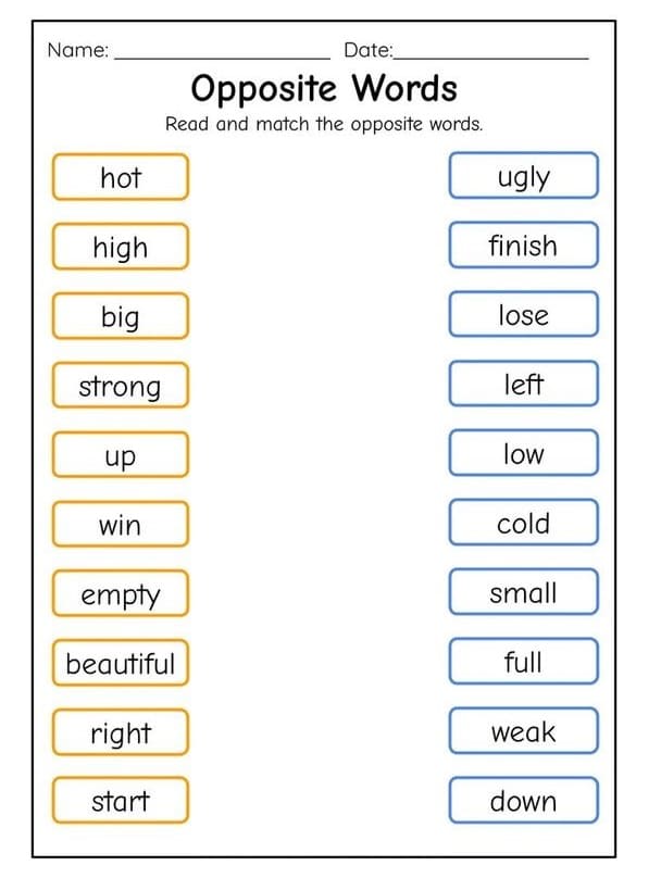 Synonyms and Antonyms Worksheet Free Download