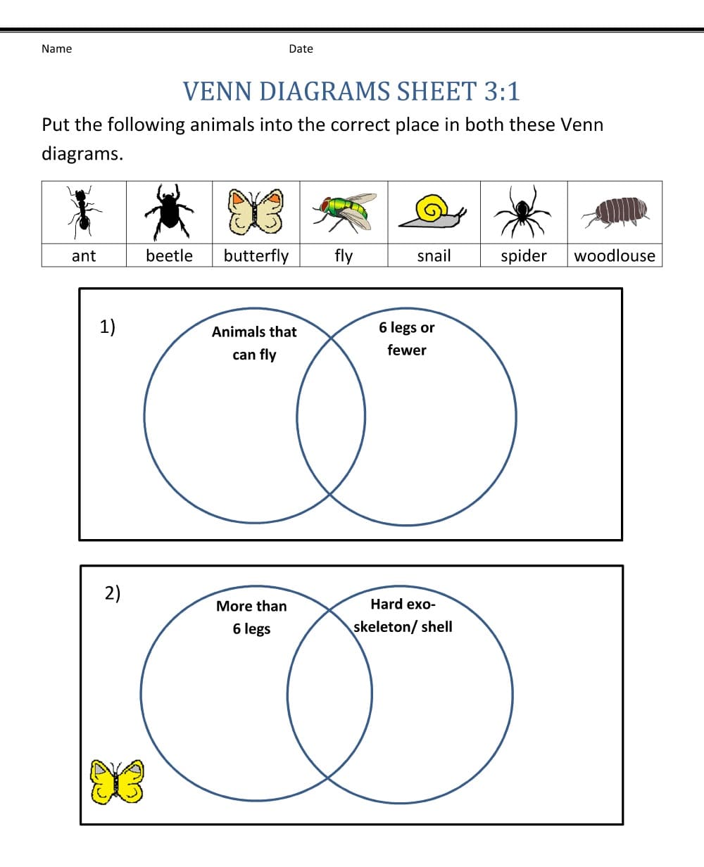 Fun Venn Diagram Worksheet