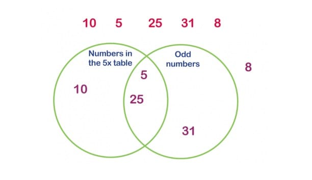 Venn Diagram Worksheet For Free