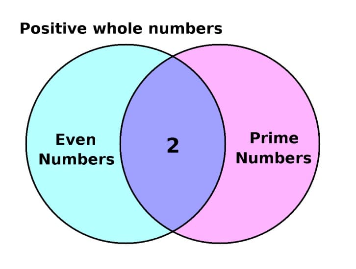 Venn Diagram Worksheet Free Photo